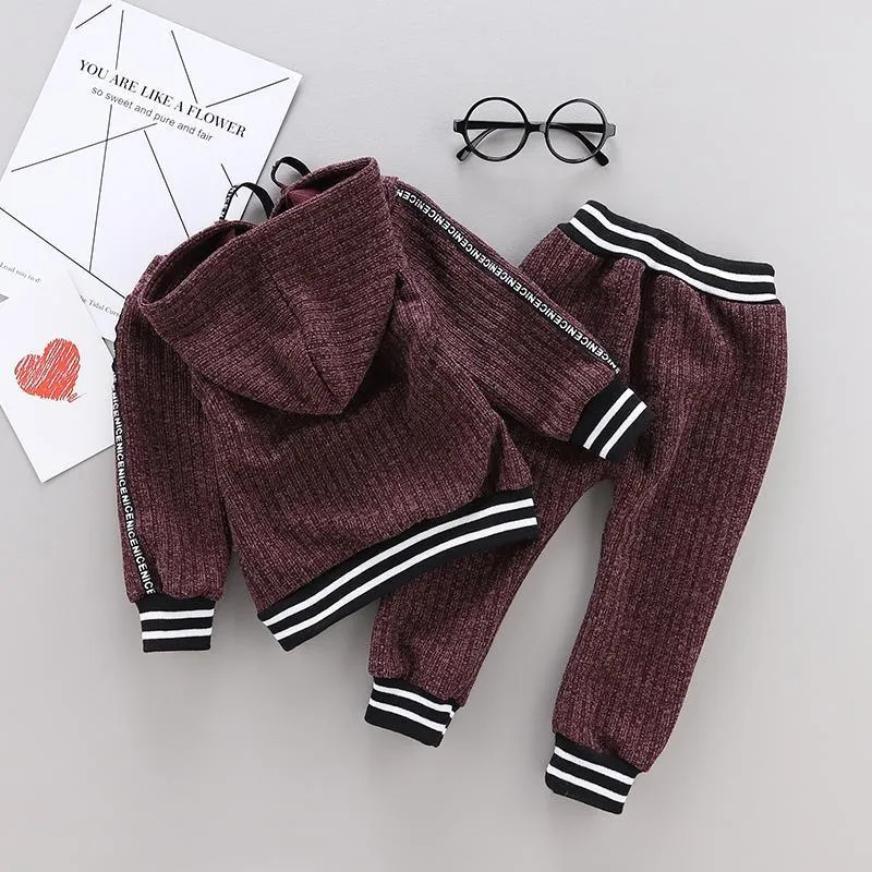2-piece Stripe Hoodie and Pants Set(No Shoes)
