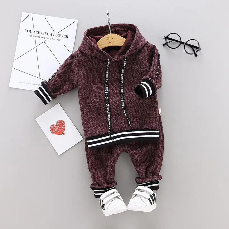 2-piece Stripe Hoodie and Pants Set(No Shoes)