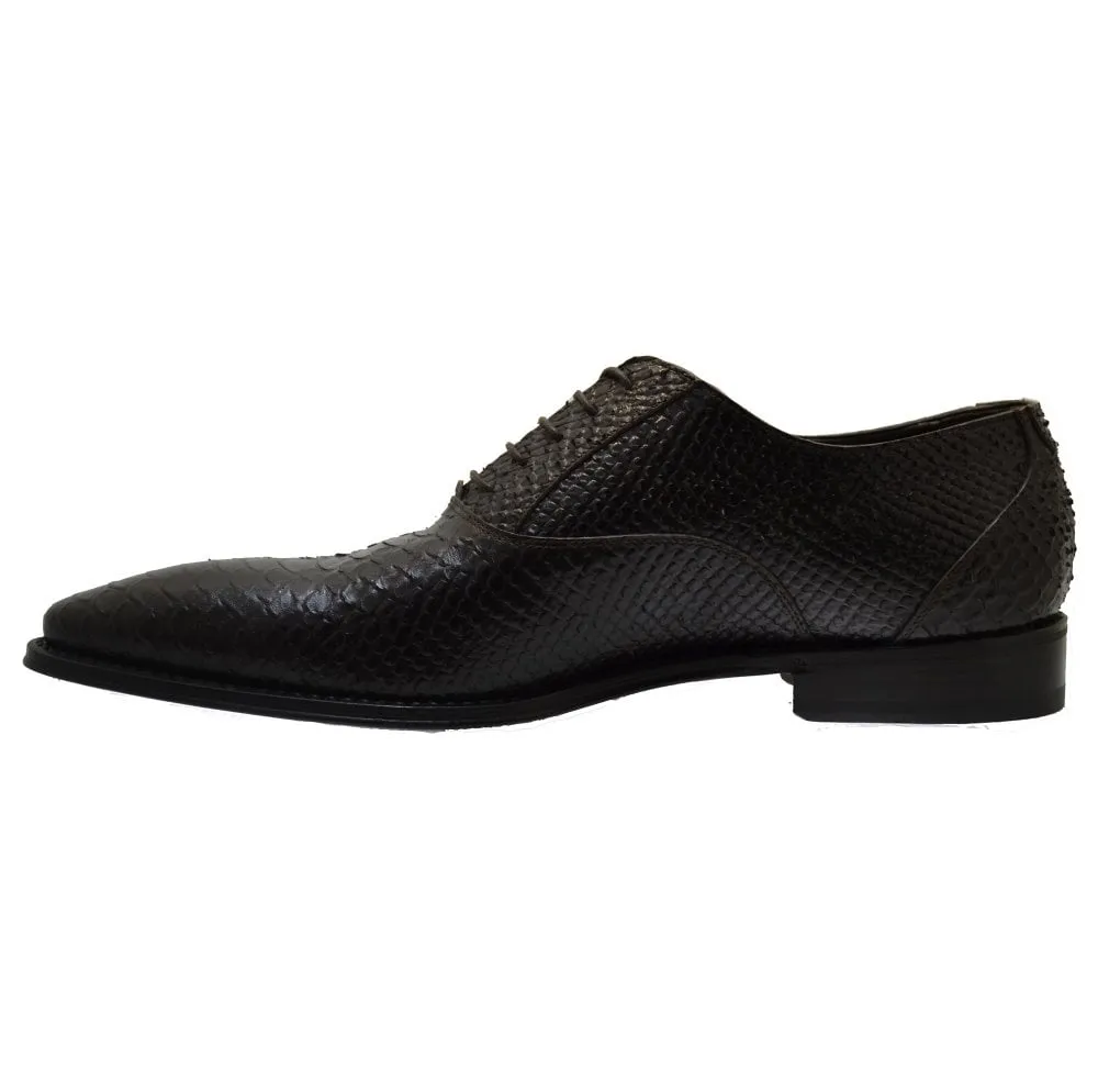 Dino Bigioni Men's Shoes 10755 Brown Leather Print Python Formal Dress Lace up Shoes size 45
