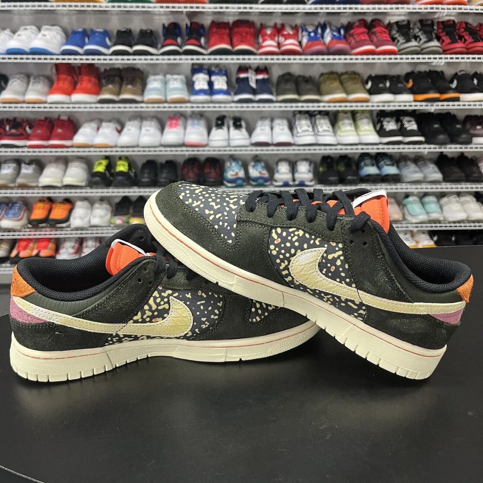 Nike Dunk Low Retro Fishing Rainbow Trout Sequoia Alabaster FN7523-300 Men's 9